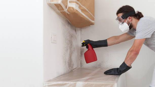 Professional Crawl Space Mold Removal technician working in West Sayville, NY