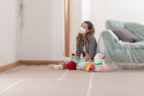 Reliable Crawl Space Mold Removal contractor in West Sayville, NY by WQB Mold Removal